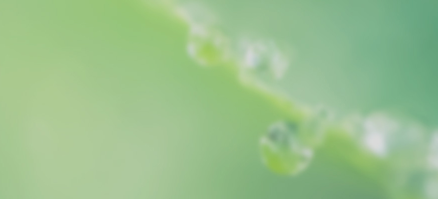 統合報告書制作支援