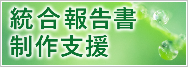 統合報告書制作支援